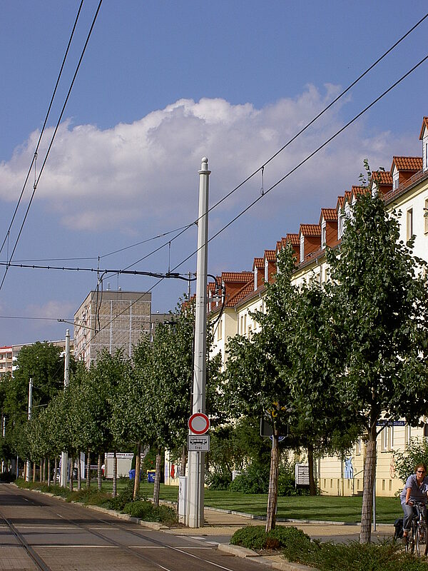 Stâlp metalic special Pfeiffer (15)